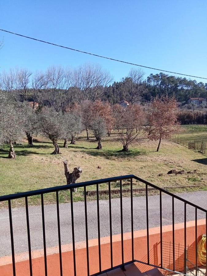 Alojamento Local - Casa Amarela Apartment Alvaiazere Bagian luar foto