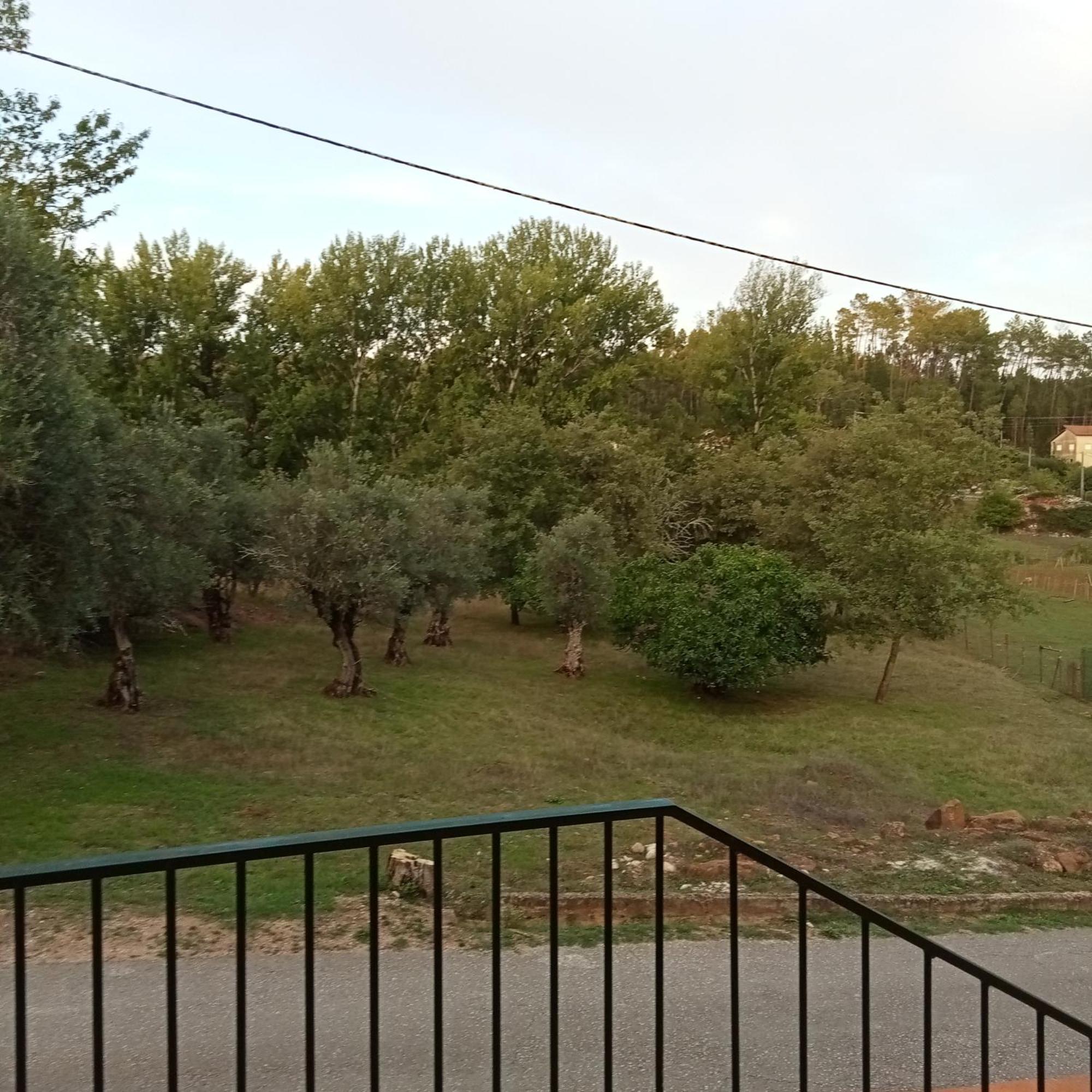 Alojamento Local - Casa Amarela Alvaiazere Bagian luar foto